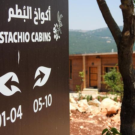 Ajloun Forest Reserve Jarash Buitenkant foto