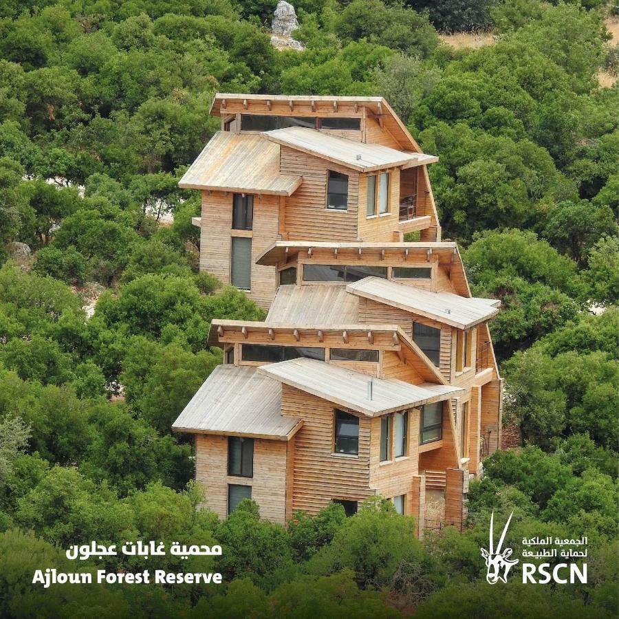 Ajloun Forest Reserve Jarash Buitenkant foto