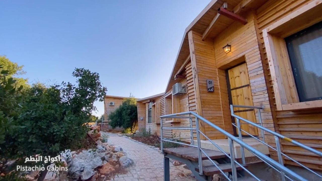 Ajloun Forest Reserve Jarash Buitenkant foto