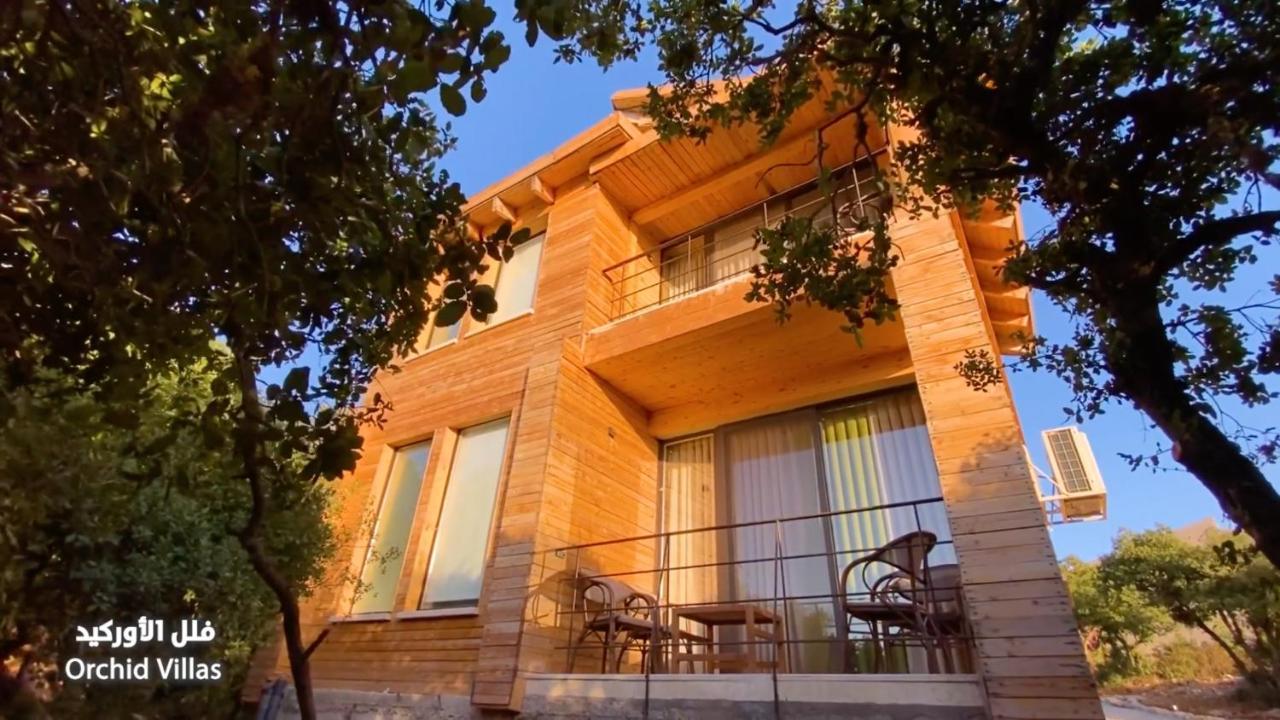 Ajloun Forest Reserve Jarash Buitenkant foto