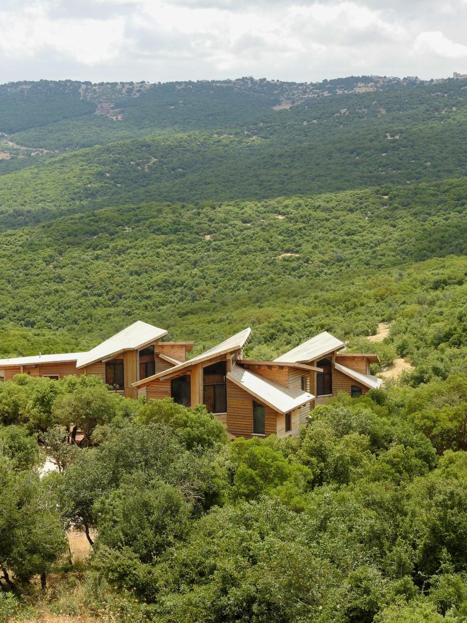 Ajloun Forest Reserve Jarash Buitenkant foto