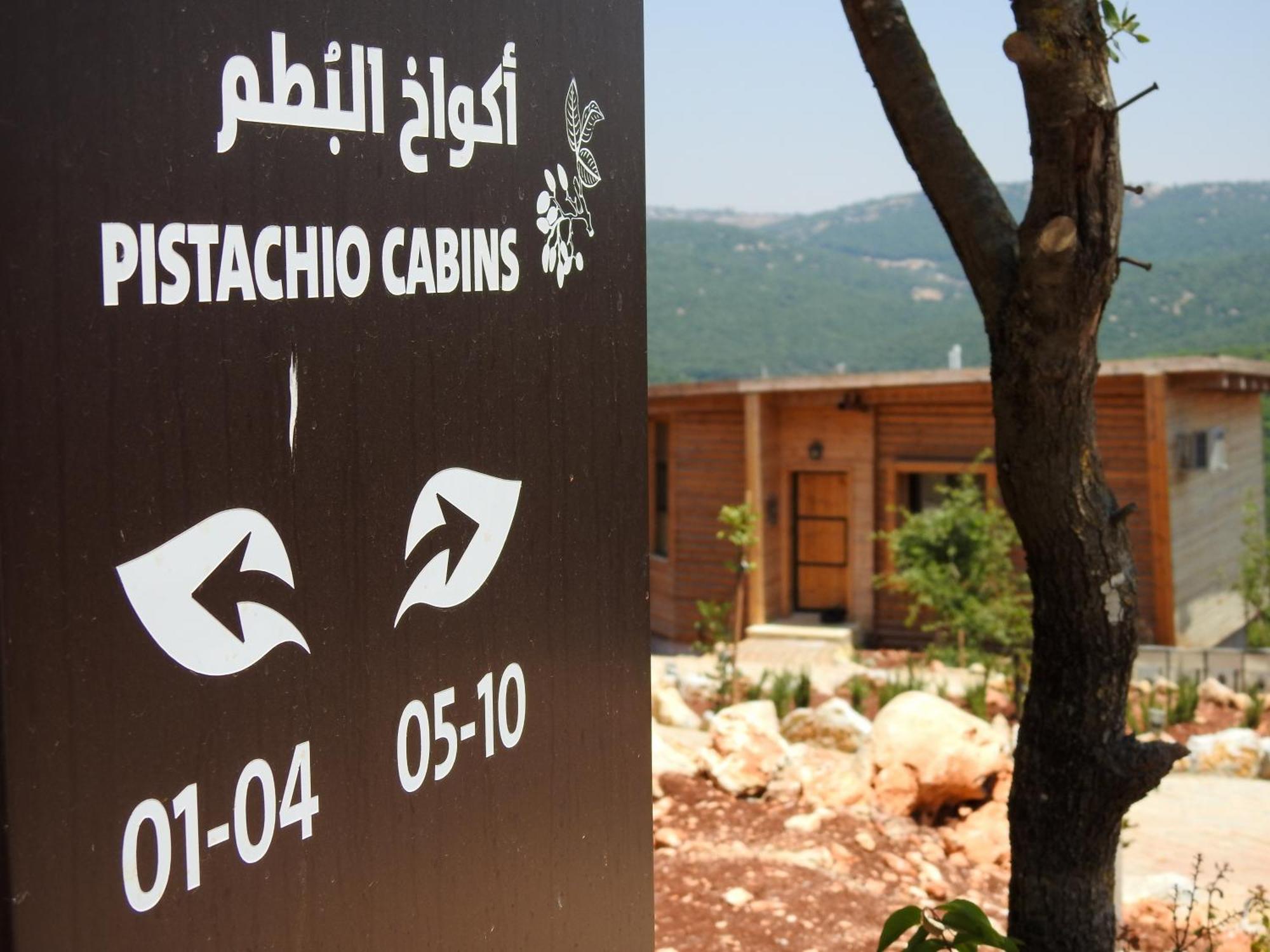 Ajloun Forest Reserve Jarash Buitenkant foto