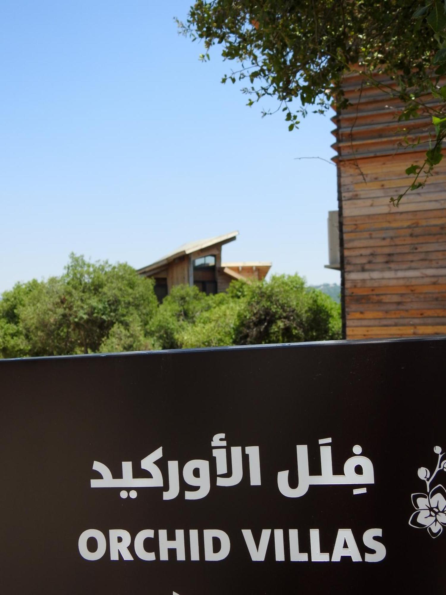 Ajloun Forest Reserve Jarash Buitenkant foto