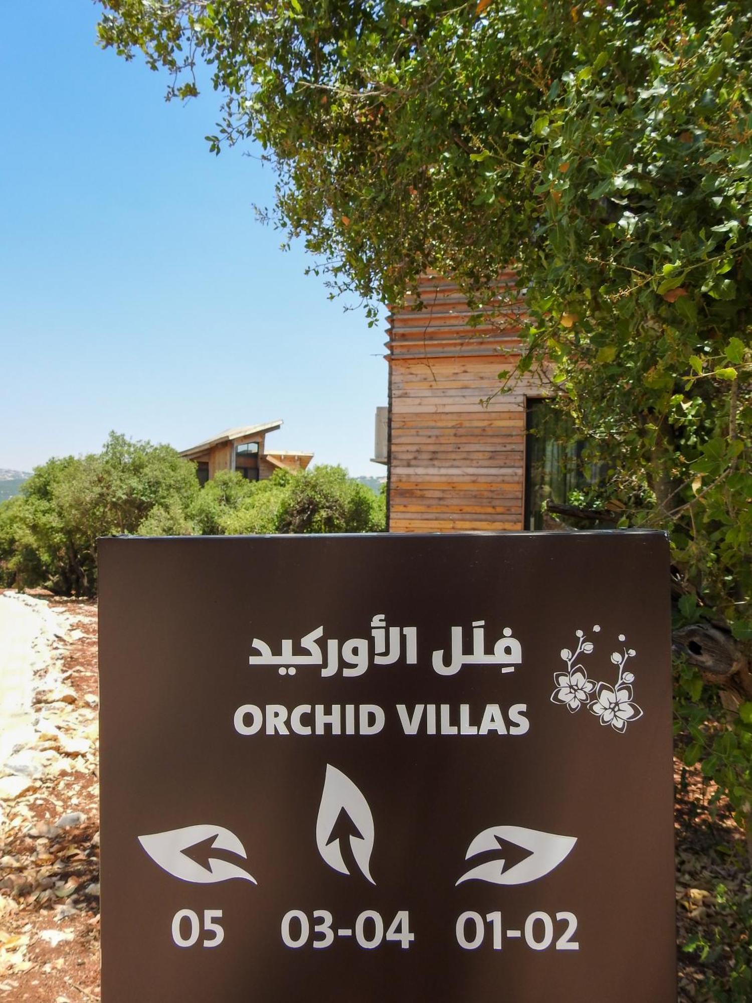 Ajloun Forest Reserve Jarash Buitenkant foto