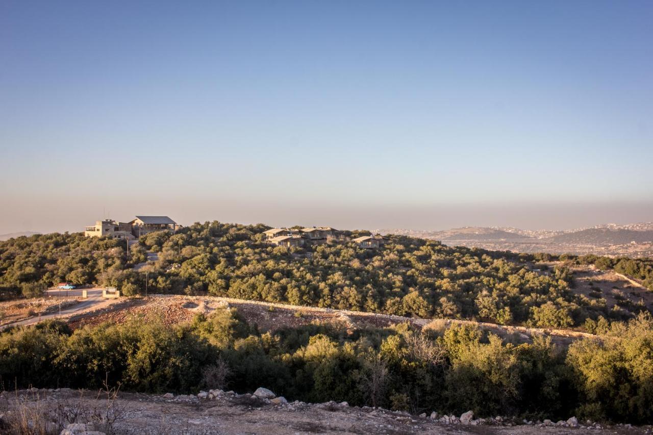 Ajloun Forest Reserve Jarash Buitenkant foto