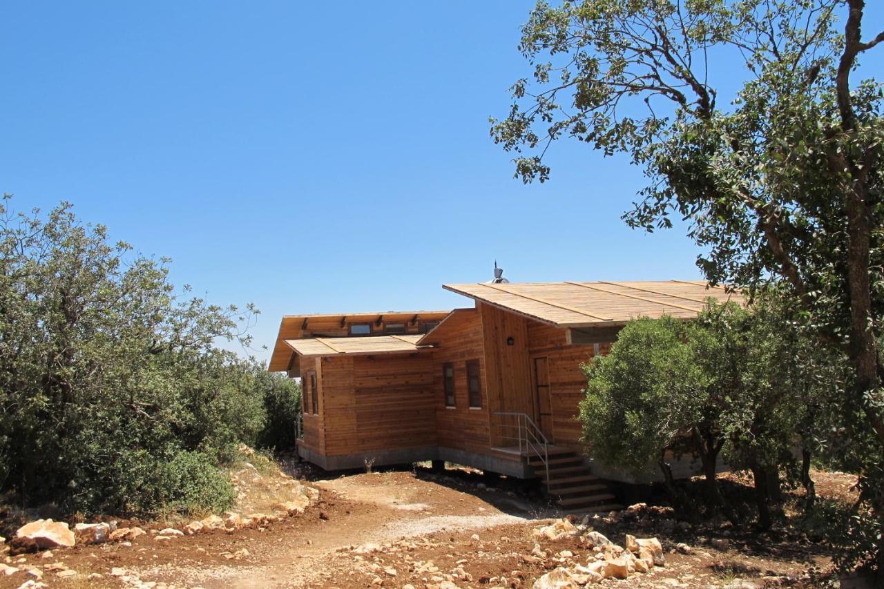 Ajloun Forest Reserve Jarash Buitenkant foto