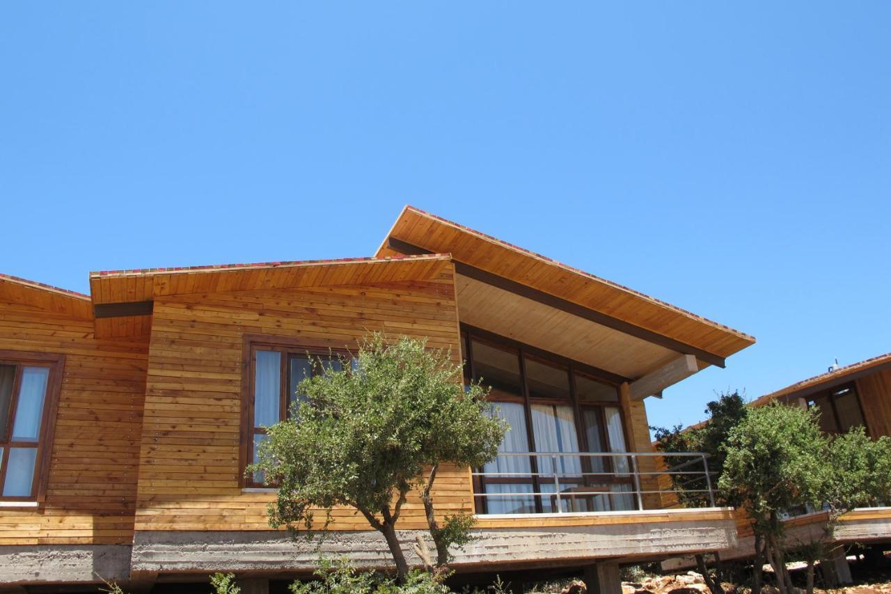 Ajloun Forest Reserve Jarash Buitenkant foto