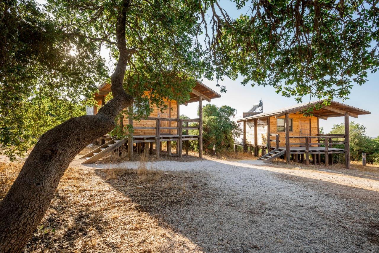 Ajloun Forest Reserve Jarash Buitenkant foto